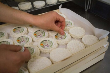 Pélardons les Demoiselles