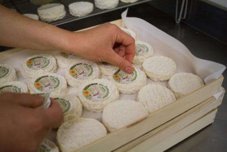 Pélardons les Demoiselles